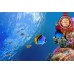 UNDERWATER CORAL REEF WITH FISH SCENE PHOTO WALL ART PRINT - PREMIUM POSTER