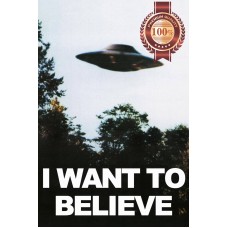 I WANT TO BELIEVE THE X-FILES UFO PHOTO ORIGINAL TV SHOW PRINT PREMIUM POSTER