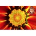 GERBERA RED CLOSE UP BACKGROUND FLOWER PETALS PAINTING PRINT PREMIUM POSTER