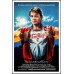 TEEN WOLF 1985 80s ORIGINAL OFFICIAL CINEMA MOVIE FILM PRINT PREMIUM POSTER