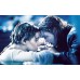 TITANIC MOVIE JACK IN THE WATER PHOTO WALL ART PRINT PREMIUM POSTER