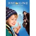 HOME ALONE 2 1990 90s ORIGINAL CLASSIC DECOR MOVIE HOME PRINT PREMIUM POSTER