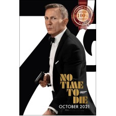NO TIME TO DIE JAMES BOND TEASER V3 OFFICIAL CINEMA MOVIE PRINT PREMIUM POSTER