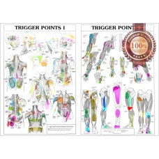 TRIGGER POINTS 1 2 ANATOMICAL DIAGRAM GUIDE CHART ANATOMY 1 PRINT PREMIUM POSTER
