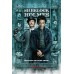 SHERLOCK HOLMES ROBERT DOWNEY JR 2009 MOVIE FILM CINEMA PRINT PREMIUM POSTER