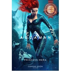AQUAMAN PRINCESS MERA DC ORIGINAL OFFICIAL CINEMA MOVIE PRINT PREMIUM POSTER
