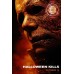 HALLOWEEN KILLS 2021 MASK ORIGINAL OFFICIAL CINEMA MOVIE PRINT PREMIUM POSTER