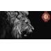 LION ROARING SIDE PROFILE CLOSE WILD BEAUTIFUL ANIMAL PRINT PREMIUM POSTER