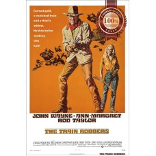 THE TRAIN ROBBERS JOHN WAYNE 1973 70s ORIGINAL MOVIE PRINT PREMIUM POSTER