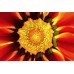 GERBERA RED CLOSE UP BACKGROUND FLOWER PETALS PAINTING PRINT PREMIUM POSTER