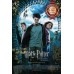 HARRY POTTER AND THE PRISONER OF AZKABAN CINEMA MOVIE FILM PRINT PREMIUM POSTER