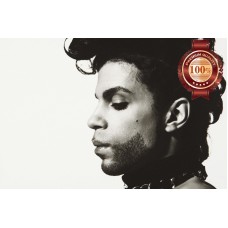PRINCE SINGER MUSICIAN SIDE PORTRAIT FACE HOME PHOTO PRINT PREMIUM POSTER