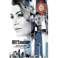 GREYS ANATOMY CAST TV SHOW ORIGINAL OFFICIAL PRINT PREMIUM POSTER