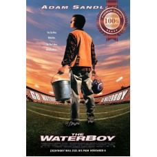 THE WATERBOY 1998 90s ORIGINAL OFFICIAL CINEMA MOVIE FILM PRINT PREMIUM POSTER