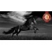WILD BLACK STALLION HORSE SCENE BLACK & WHITE ANIMAL PRINT PREMIUM POSTER