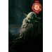 90x60CM YODA IN SWAMP DAGOBAH STAR WARS STARWARS ART PRINT PREMIUM POSTER