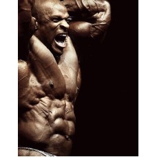 LARGE RONNIE COLEMAN BODYBUILDER MUSCLES FLEXING PHOTO PRINT PREMIUM POSTER