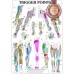 TRIGGER POINTS PART 2 ANATOMICAL DIAGRAM CHART ANATOMY PRINT PREMIUM POSTER