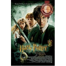 HARRY POTTER CHAMBER OF SECRETS ORIGINAL OFFICIAL MOVIE PRINT PREMIUM POSTER