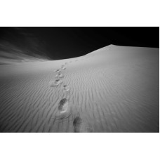 LARGE FOOT STEPS IN SAND LANDSCAPE PHOTO PHOTOGRAPH ART PRINT PREMIUM POSTER