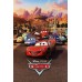 CARS 1 DISNEY 2006 3D V2 OFFICIAL ORIGINAL CINEMA MOVIE PRINT PREMIUM POSTER