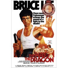 THE WAY OF THE DRAGON 70s BRUCE LEE ORIGINAL FILM MOVIE PRINT PREMIUM POSTER