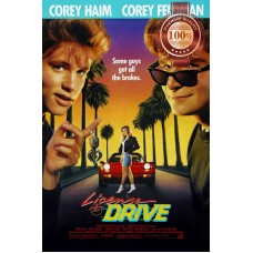 LICENSE TO DRIVE 1988 80s COMEDY ORIGINAL MOVIE FILM CINEMA PRINT PREMIUM POSTER