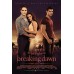 THE TWILIGHT SAGA BREAKING DAWN PT 1 ORIGINAL CINEMA MOVIE PRINT PREMIUM POSTER