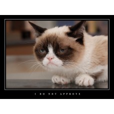 LARGE FUNNY DEMOTIVATIONAL GRUMPY CAT LARGE WALL ART PHOTO PRINT PREMIUM POSTER