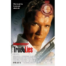 TRUE LIES 1994 90s COMEDY ACTION ORIGINAL MOVIE FILM CINEMA PRINT PREMIUM POSTER