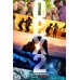 OUTER BANKS SEASON 2 ORIGINAL OFFICIAL SERIES TV SHOW PRINT PREMIUM POSTER