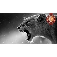 LIONESS LION ROARING TEETH WILD BIG CAT AFRICA ANIMAL PRINT PREMIUM POSTER
