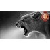 LIONESS LION ROARING TEETH WILD BIG CAT AFRICA ANIMAL PRINT PREMIUM POSTER