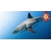 GREAT WHITE SHARK SWIMMING BLUE OCEAN CLOSE UP ANIMAL PRINT PREMIUM POSTER