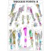 TRIGGER POINTS PART 2 ANATOMICAL DIAGRAM CHART ANATOMY PRINT PREMIUM POSTER