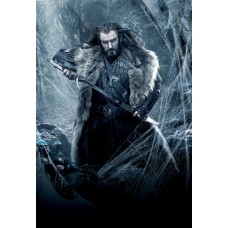 90x60CM THE HOBBIT DWAF KING THORIN DESOLATION OF SMAUG WALL PRINT POSTER