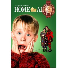 HOME ALONE 1 1990 90s ORIGINAL CLASSIC DECOR MOVIE HOME PRINT PREMIUM POSTER