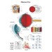 NEW HUMAN EYE MEDICAL DIAGRAM CHART INFORMATIONAL ANATOMY PRINT PREMIUM POSTER