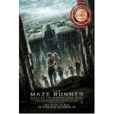 THE MAZE RUNNER 1 ONE FIRST FILM MOVIE ORIGINAL CINEMA PRINT PREMIUM POSTER
