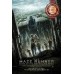THE MAZE RUNNER 1 ONE FIRST FILM MOVIE ORIGINAL CINEMA PRINT PREMIUM POSTER