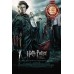 HARRY POTTER AND THE GOBLET OF FIRE 05 MOVIE FILM ORIGINAL PRINT PREMIUM POSTER