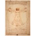 ORIGINAL VITRUVIAN MAN LEONARDO DA VINCI WALL ART PRINT PREMIUM POSTER