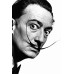SALVADOR DALI FUNNY MUSTACHE HOME DECOR ORIGINAL PHOTO PRINT PREMIUM POSTER