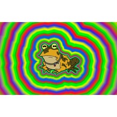 LARGE FUTURAMA HYPNOTOAD FUNNY FROG ABSTRACT ARTWORK WALL ART PRINT POSTER