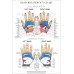HAND REFLEXOLOGY CHART SYSTEM ANATOMICAL DIAGRAM GUIDE PRINT PREMIUM POSTER