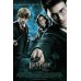 HARRY POTTER AND THE ORDER OF THE PHOENIX CINEMA MOVIE FILM PRINT PREMIUM POSTER