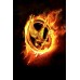 LARGE HUNGER GAMES CATCHING FIRE LOGO MOVIE PICTURE ART PRINT PREMIUM POSTER