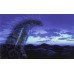 PRINCESS MONONOKE FOREST SPIRIT GHIBLI MOVIE WALL ART PRINT  PREMIUM POSTER