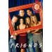 FRIENDS PICTURE FRAME PHOTO OFFICIAL ORIGINAL TV SHOW PRINT PREMIUM POSTER