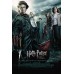 HARRY POTTER AND THE GOBLET OF FIRE 05 MOVIE FILM ORIGINAL PRINT PREMIUM POSTER
